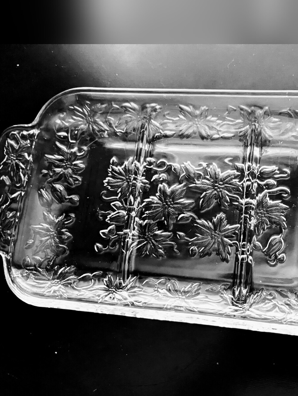 Princess House Divided Dish